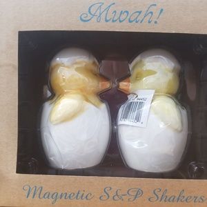 Magnetic S&P Shakers